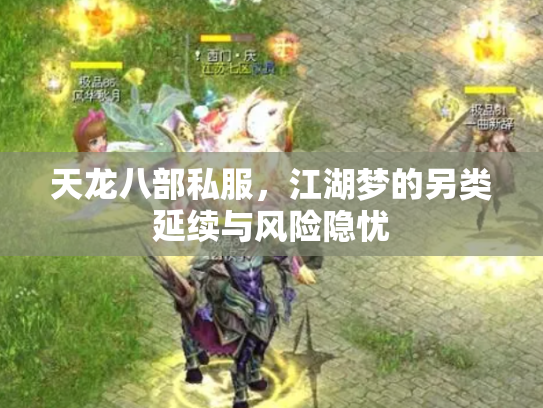 天龙八部私服，江湖梦的另类延续与风险隐忧