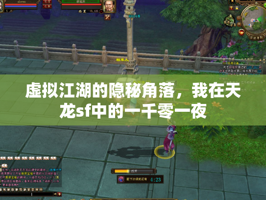 虚拟江湖的隐秘角落，我在天龙sf中的一千零一夜