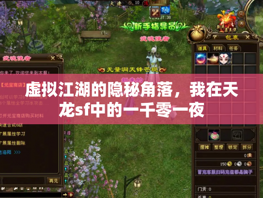 虚拟江湖的隐秘角落，我在天龙sf中的一千零一夜