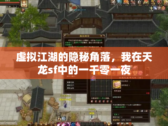 虚拟江湖的隐秘角落，我在天龙sf中的一千零一夜