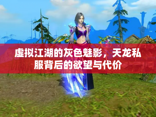 虚拟江湖的灰色魅影，天龙私服背后的欲望与代价
