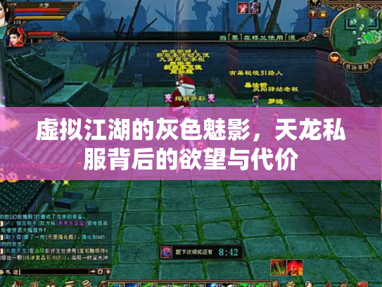 虚拟江湖的灰色魅影，天龙私服背后的欲望与代价
