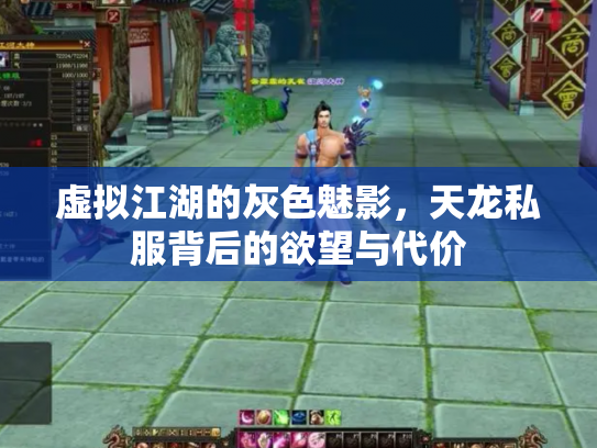 虚拟江湖的灰色魅影，天龙私服背后的欲望与代价