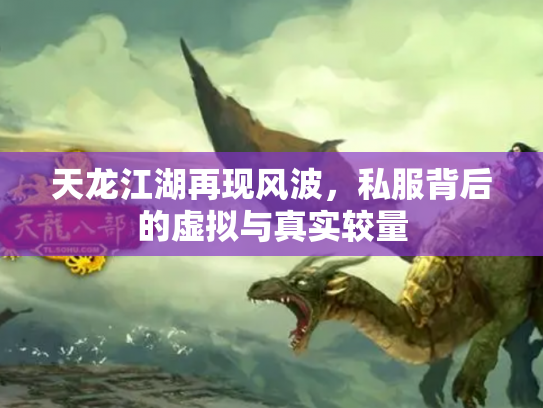 天龙江湖再现风波，私服背后的虚拟与真实较量