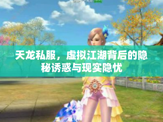 天龙私服，虚拟江湖背后的隐秘诱惑与现实隐忧