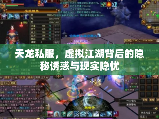 天龙私服，虚拟江湖背后的隐秘诱惑与现实隐忧