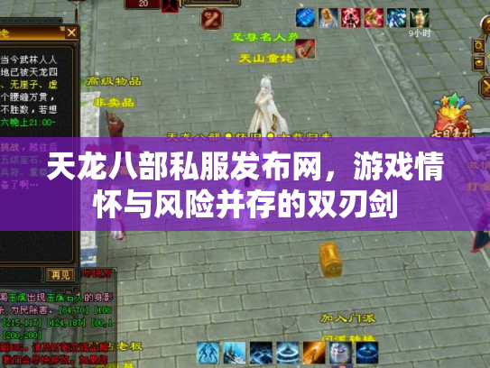 天龙八部私服发布网，游戏情怀与风险并存的双刃剑