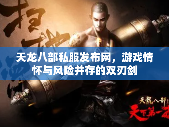 天龙八部私服发布网，游戏情怀与风险并存的双刃剑