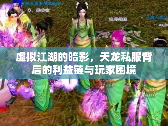 虚拟江湖的暗影，天龙私服背后的利益链与玩家困境