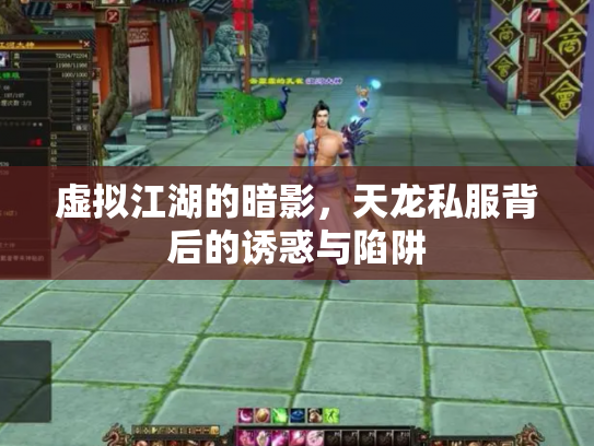 虚拟江湖的暗影，天龙私服背后的诱惑与陷阱