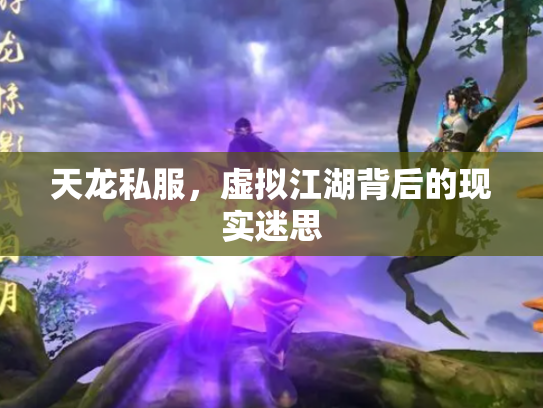 天龙私服，虚拟江湖背后的现实迷思