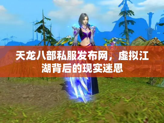 天龙八部私服发布网，虚拟江湖背后的现实迷思