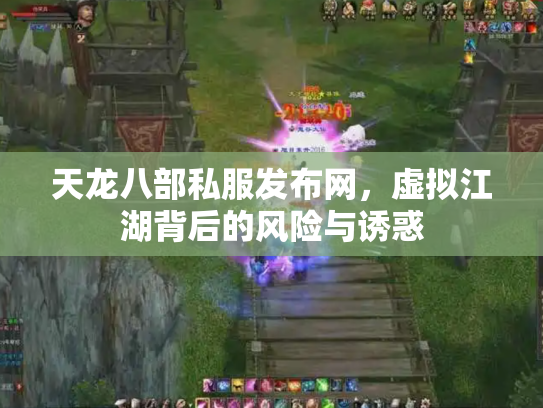 天龙八部私服发布网，虚拟江湖背后的风险与诱惑