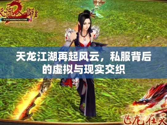 天龙江湖再起风云，私服背后的虚拟与现实交织