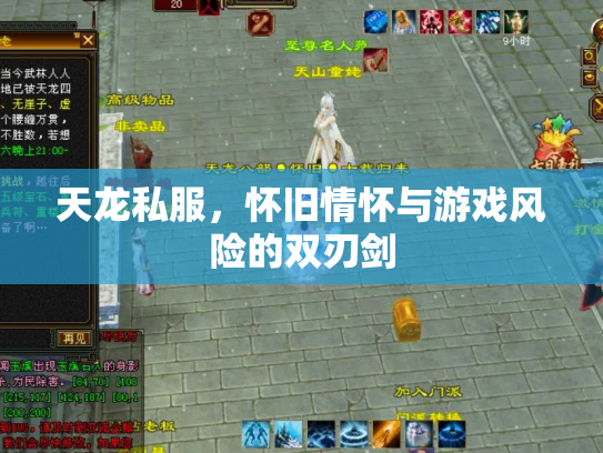 天龙私服，怀旧情怀与游戏风险的双刃剑