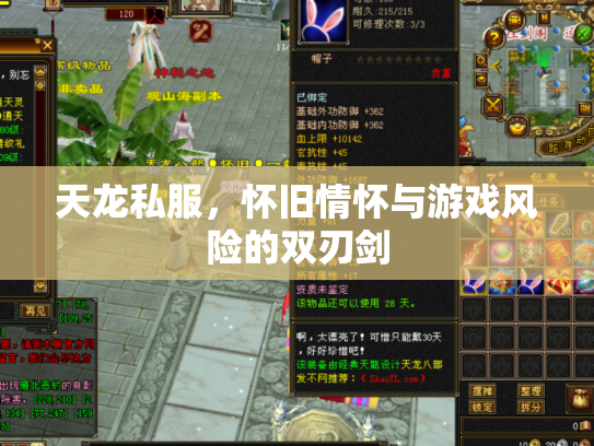 天龙私服，怀旧情怀与游戏风险的双刃剑