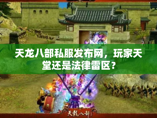天龙八部私服发布网，玩家天堂还是法律雷区？