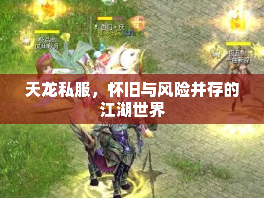 天龙私服，怀旧与风险并存的江湖世界