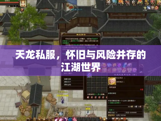 天龙私服，怀旧与风险并存的江湖世界