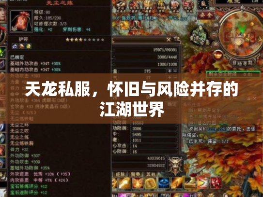 天龙私服，怀旧与风险并存的江湖世界