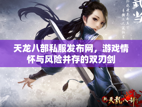 天龙八部私服发布网，游戏情怀与风险并存的双刃剑