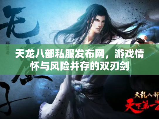 天龙八部私服发布网，游戏情怀与风险并存的双刃剑