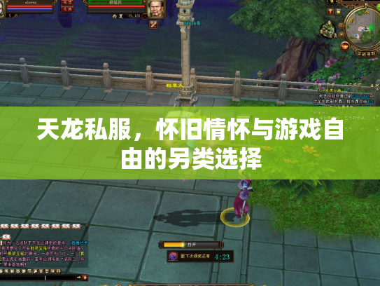 天龙私服，怀旧情怀与游戏自由的另类选择