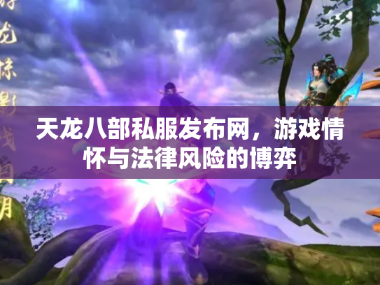 天龙八部私服发布网，游戏情怀与法律风险的博弈