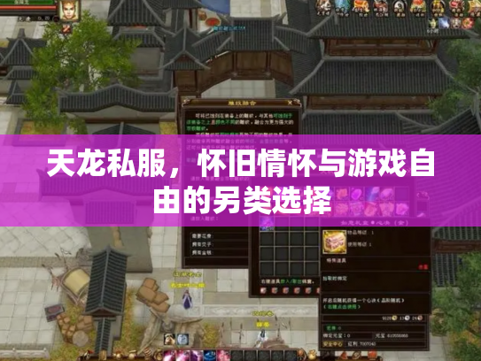 天龙私服，怀旧情怀与游戏自由的另类选择