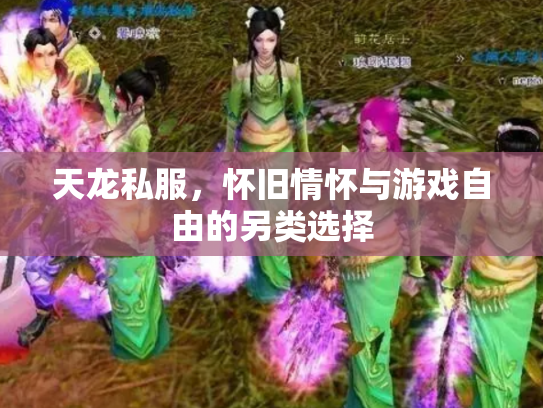 天龙私服，怀旧情怀与游戏自由的另类选择
