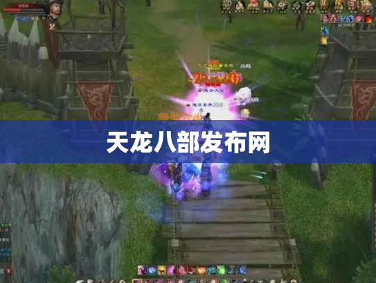 天龙八部发布网