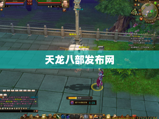 天龙八部发布网