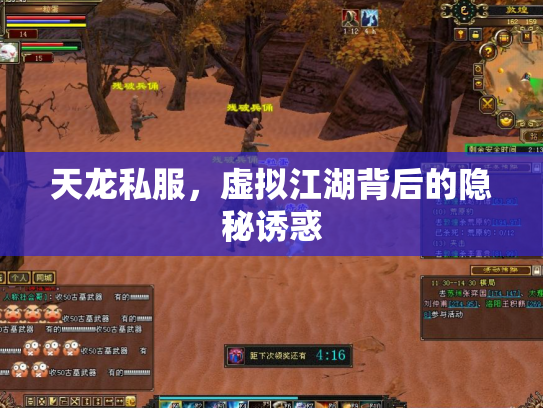 天龙私服，虚拟江湖背后的隐秘诱惑