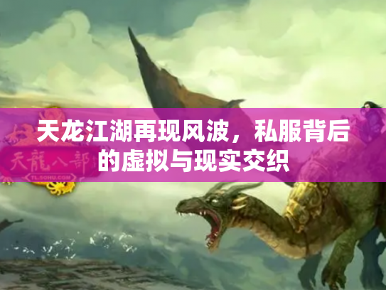 天龙江湖再现风波，私服背后的虚拟与现实交织