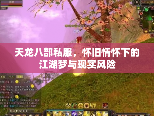 天龙八部私服，怀旧情怀下的江湖梦与现实风险
