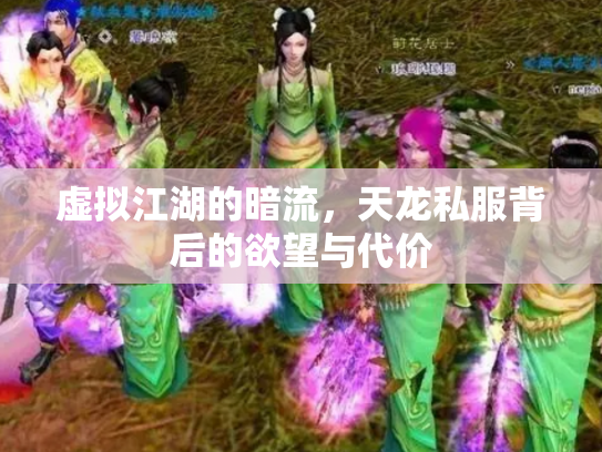 虚拟江湖的暗流，天龙私服背后的欲望与代价