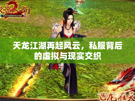 天龙江湖再起风云，私服背后的虚拟与现实交织