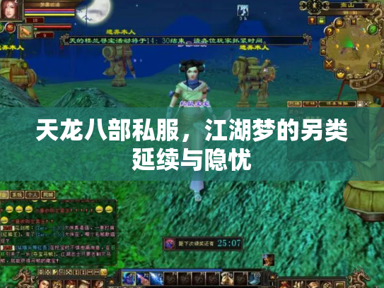 天龙八部私服，江湖梦的另类延续与隐忧