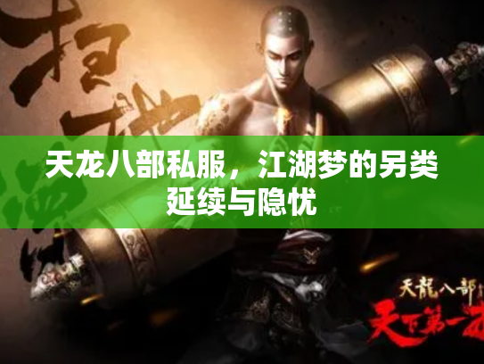 天龙八部私服，江湖梦的另类延续与隐忧