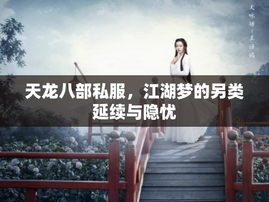 天龙八部私服，江湖梦的另类延续与隐忧