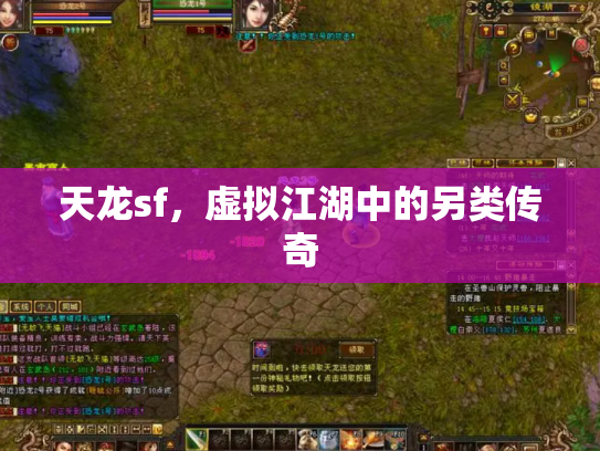 天龙sf，虚拟江湖中的另类传奇