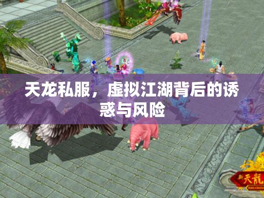 天龙私服，虚拟江湖背后的诱惑与风险