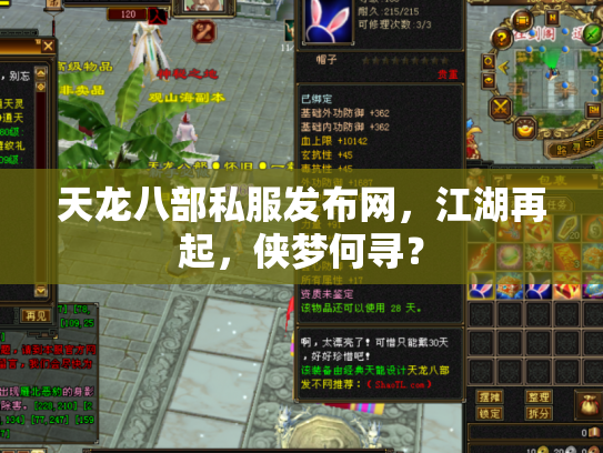 天龙八部私服发布网，江湖再起，侠梦何寻？