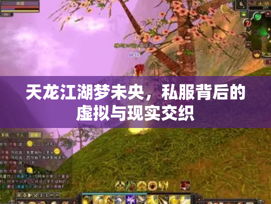 天龙江湖梦未央，私服背后的虚拟与现实交织
