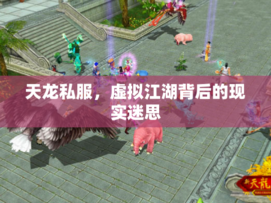 天龙私服，虚拟江湖背后的现实迷思