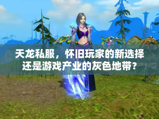 天龙私服，怀旧玩家的新选择还是游戏产业的灰色地带？