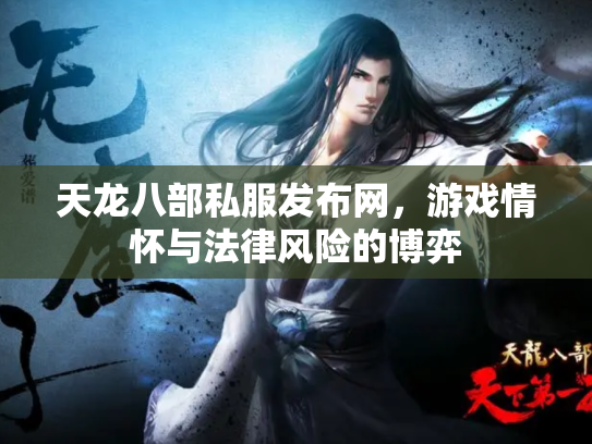 天龙八部私服发布网，游戏情怀与法律风险的博弈