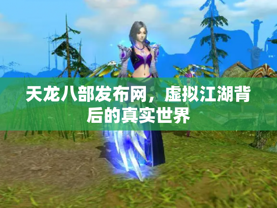 天龙八部发布网，虚拟江湖背后的真实世界