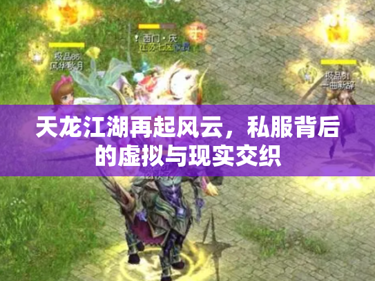 天龙江湖再起风云，私服背后的虚拟与现实交织