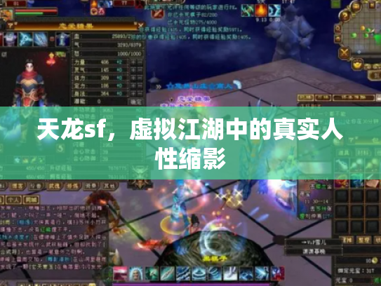 天龙sf，虚拟江湖中的真实人性缩影